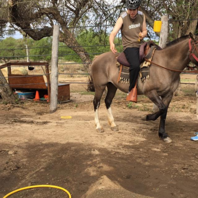 equino 6