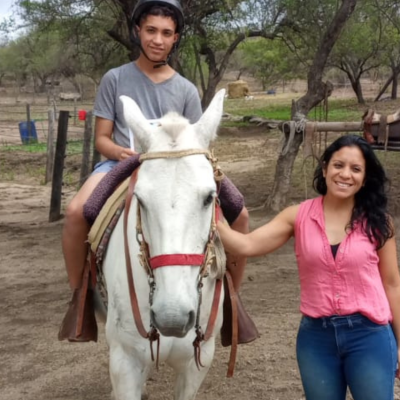 equino 7